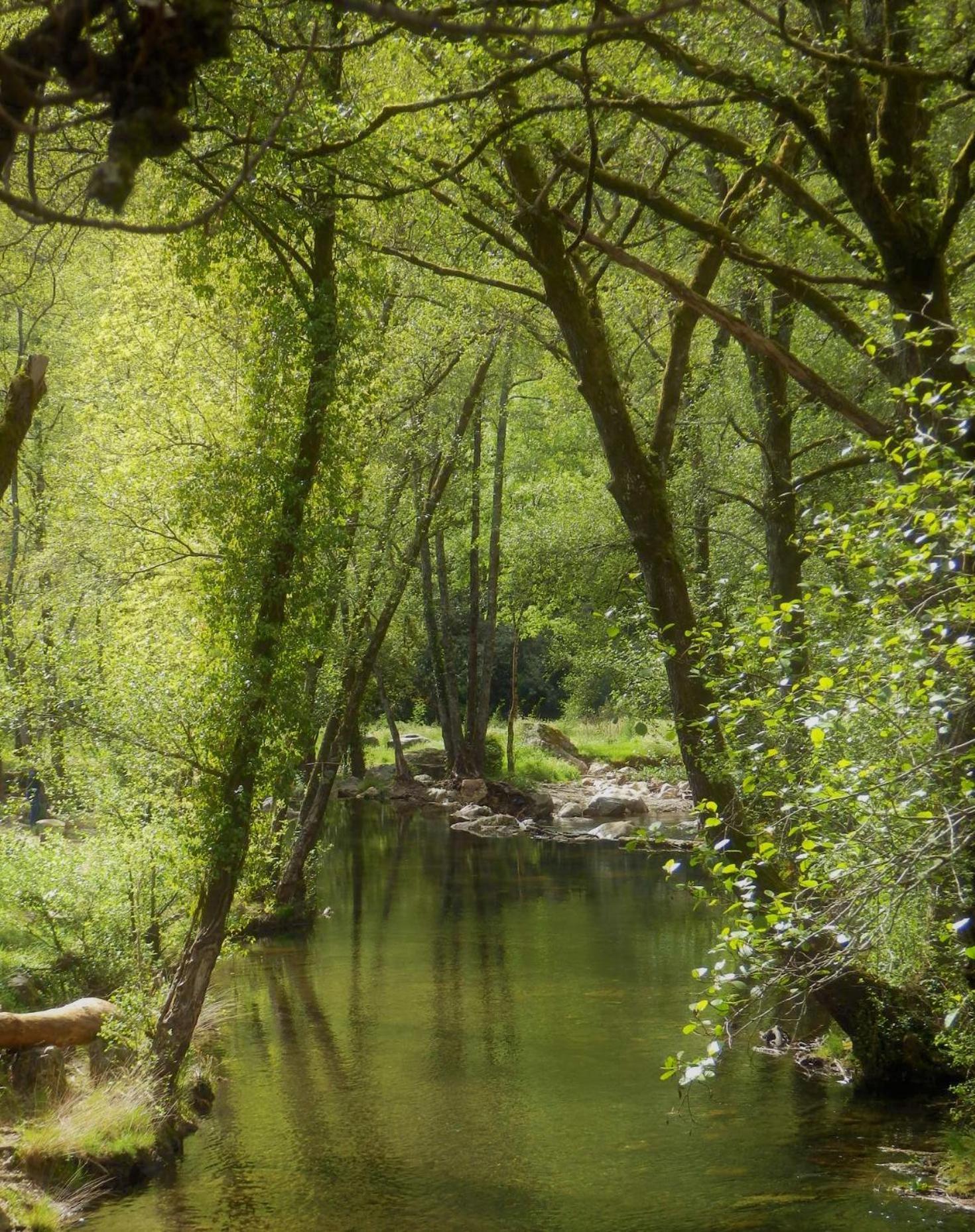 O Homem Verde Penela Dış mekan fotoğraf